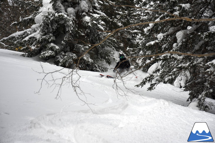 いざ極寒パウダーへ！占冠バックカントリースキー・Backcountry Skiing！